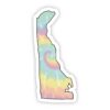 Delaware Tie Dye Sticker