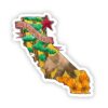 The Golden State California Sticker - Water Color