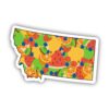 Montana Fruit Pattern Sticker