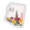 Arizona Painterly Pattern Sticker