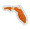 Florida Orange Abstract Sticker