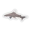 White Fin Shark Sticker