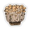 Colony of Mushrooms Sticker