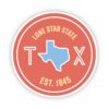 Lone Star State Texas Sticker