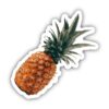 Pineapple Fruit Sticker