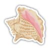 Tan Seashell Sticker