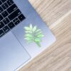 Dumb Cane Watercolor - Clear Sticker