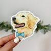 Golden Retriever With Bow Tie Sticker