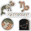 Capricorn Zodiac Sticker 5 Pack