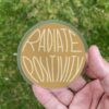 Radiate Positivity - Clear Sticker